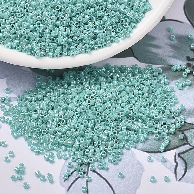 MIYUKI Delica Beads SEED-MY11-DB1576-1