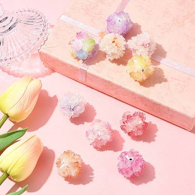 10Pcs 10 Colors Resin Beads RESI-FS0002-24B-1