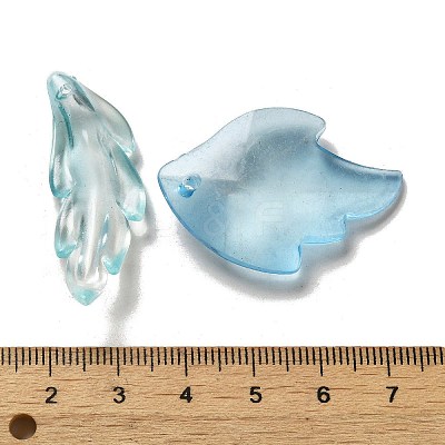 Transparent Frosted Acrylic Beads OACR-H039-06-1