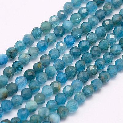 Natural Apatite Beads Strands G-F509-17-3mm-1
