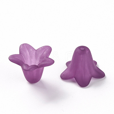 Transparent Acrylic Beads PLF018-16-1