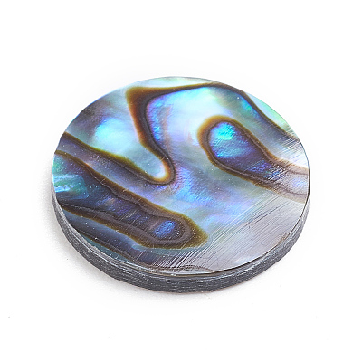 Natural Abalone Shell/Paua Shell Cabochons LS-SSHEL-L017-001-1