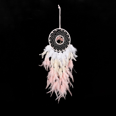 Iron Woven Web/Net with Feather Pendant Decorations AJEW-B017-08-1