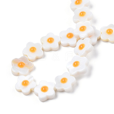 Natural Freshwater Shell Beads Strands SHEL-N003-31C-01-1