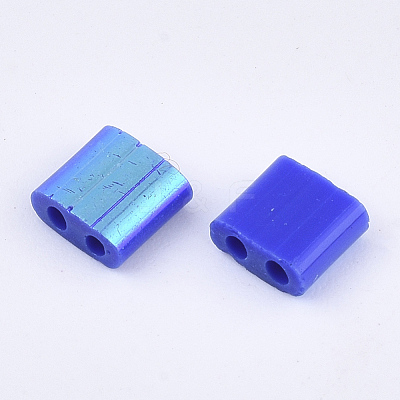 FGB 2-Hole Glass Seed Beads SEED-S031-L-048-R-1