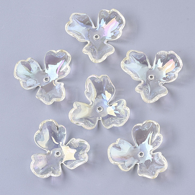 Transparent Acrylic Bead Caps PACR-R246-020-1