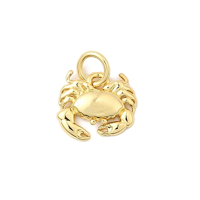 Brass Charms KK-I364-06G-02-1