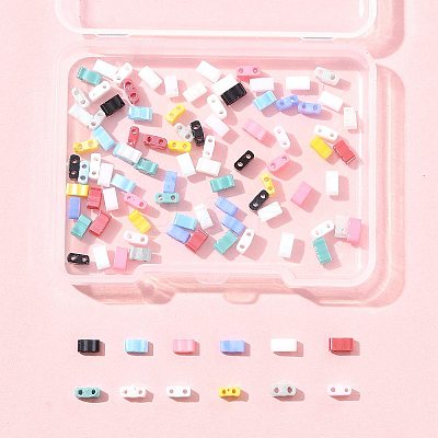 100Pcs 12 Styles 2-Hole Glass Seed Beads SEED-FS0001-43-1