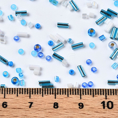 FGB Glass Seed Beads SEED-S056-003-1
