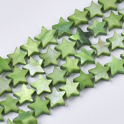 Freshwater Shell Beads Strands SHEL-T014-009C-1