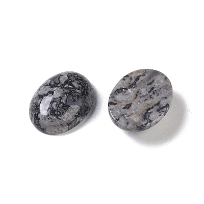 Natural Map Stone Cabochons G-B080-01A-09-1