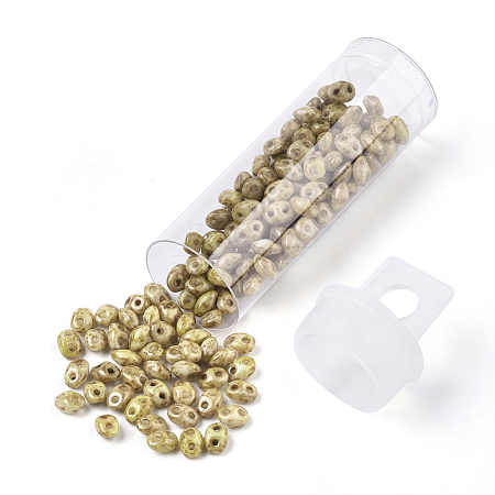 2-Hole Seed Beads SEED-R048-03000-1