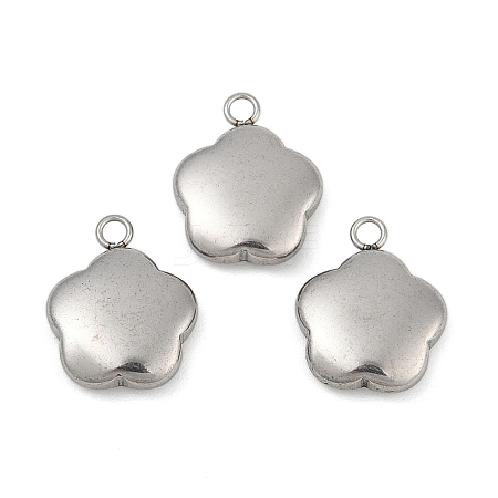 Tarnish Resistant 304 Stainless Steel Charms STAS-K002-33A2-1