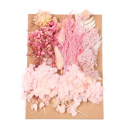 Dried Flower DIY-B018-12-1