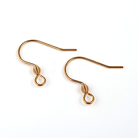 304 Stainless Steel Earring Hook Findings X-STAS-M240-02-1