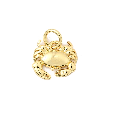 Brass Charms KK-I364-06G-02-1