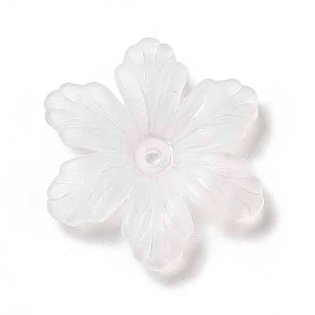 Transparent Acrylic Bead Caps MACR-J122-04-1