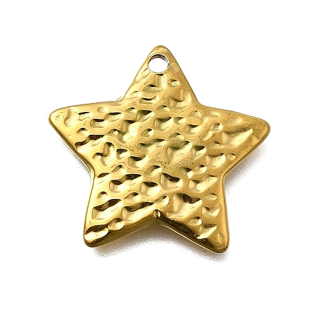 304 Stainless Steel Pendants LS-STAS-Z163-01G-01-1