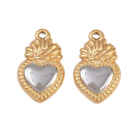 304 Stainless Steel Pendants STAS-A119-05G-1