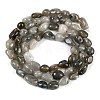 Natural Labradorite Beads Strands G-P497-01B-03-3