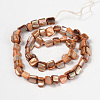 Erose Natural Shell Beads Strands PBB069Y-2