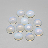 Opalite Cabochons G-R416-10mm-49-1