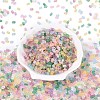 FGB Frosted Transparent Glass Seed Beads SEED-N013-06A-2