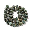 Natural African Turquoise(Jasper) Beads Strands G-P508-A06-01-3