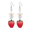 Resin Dangle Earrings EJEW-JE06308-1