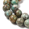 Natural Turquoise Beads Strands G-P506-04D-01-3