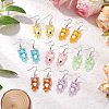 Iron Transparent Resin Cat Shape Dangle Earrings EJEW-JE06379-1