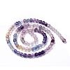 Natural Fluorite Beads Strands G-G991-C01-2