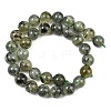Natural Prehnite Beads Strands G-P322-48-12mm-8