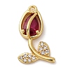 Brass Micro Pave Cubic Zirconia Pendants KK-I276-04G-04A-1