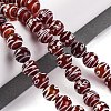 Tibetan Style dZi Beads G-U006-06I-02-2