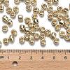 TOHO 3/0 Round Beads X-SEED-TR03-PF0558-3