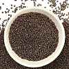 TOHO 6/0 Demi Round Beads Y-SEED-DR06-0221-4