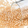 TOHO Round Seed Beads SEED-JPTR08-0391-1