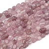 Natural Madagascar Rose Quartz Beads Strands G-Q060-E21-03-2