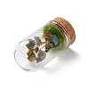 Natural Labradorite Chips Money Tree in Dome Glass Bell Jars with Wood Base Display Decorations DJEW-K030-02M-2