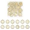 24Pcs 12 Styles Zinc Alloy Crystal Rhinestone Pendants FIND-FS0004-40-1