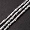 Natural Trochid Shell/Trochus Shell Beads Strands SSHEL-O001-24B-02-4