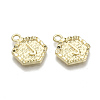 Alloy Pendants PALLOY-N157-003J-NR-2