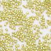 11/0 Two Cut Round Hole Glass Seed Beads SEED-G006-2mm-648-3