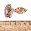 Electroplate Natural Cowrie Shell Pendants SSHEL-Q100-30KCG-3