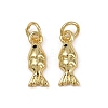 Brass Micro Pave Cubic Zirconia Charms KK-Z120-01G-02-1