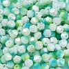 Baking Painted Glass Seed Beads SEED-C004-03D-3