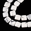 Natural Howlite Beads Strands G-T138-157-3