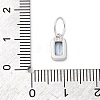 925 Sterling Silver Cubic Zirconia Charms STER-NH0014-01P-03-3