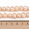 Natural Cultured Freshwater Pearl Beads Strands PEAR-I007-07Z-02B-5
